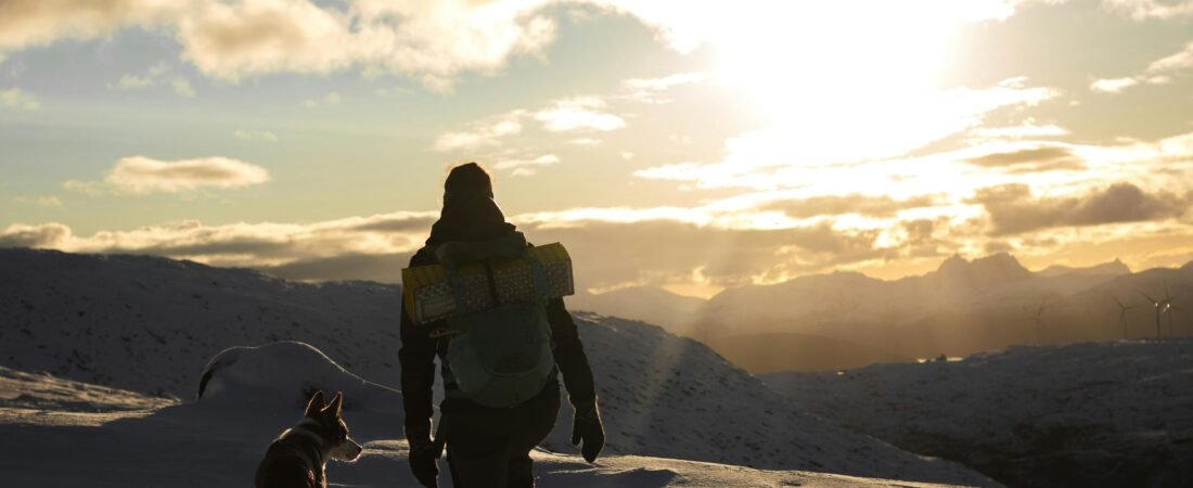 Hiking with Dogs: Trail Etiquette, Gear, and Safety