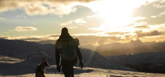 Hiking with Dogs: Trail Etiquette, Gear, and Safety