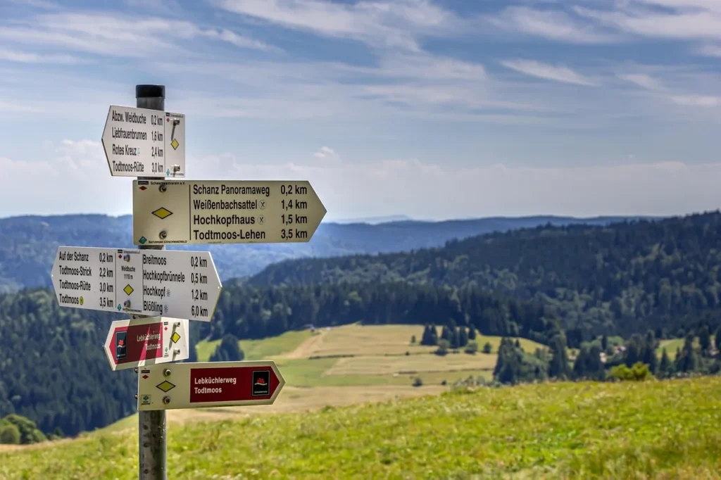 Beginner-friendly hiking trail with clear signage