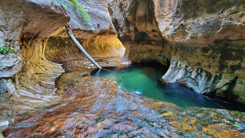 Left Fork North Creek (The Subway), Zion National Park, Utah