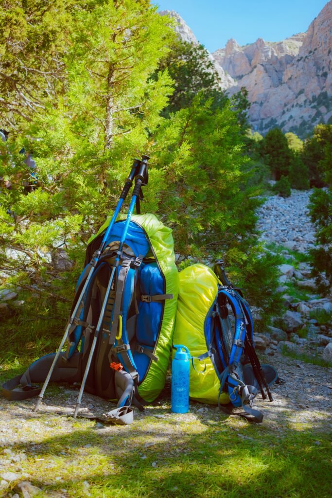 Two full Backpacks by the trees in the mountains